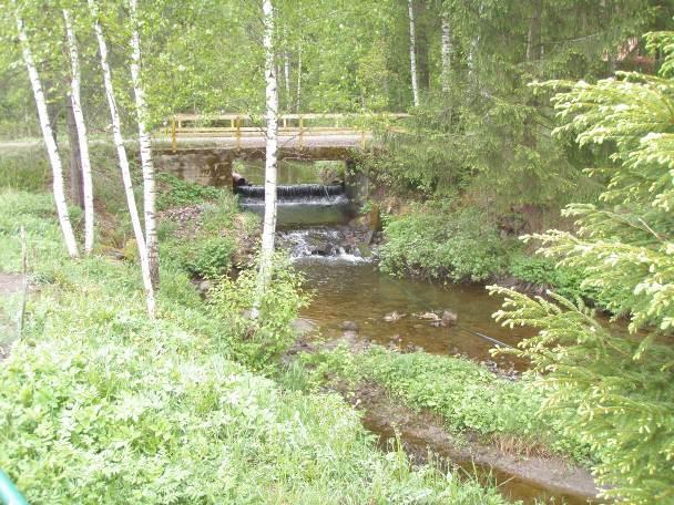 Joen eri alueiden taimenkannat ovat lukuisten nousuesteiden takia kuitenkin paikallisia.