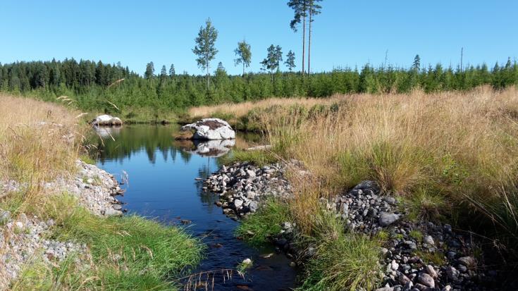 maa- ja metsätalouden peruskuivatuksen tehokkuutta ja edistetään