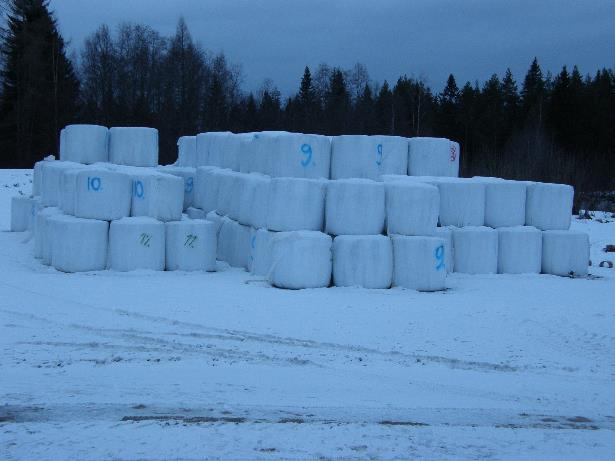 lämpötila nostetaan 50-55 asteeseen. Syötteen D- arvon tulee olla samaa luokkaa kuin eläimille syötettävässä rehussa (D- arvo >69).