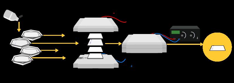 16 Kuvio 6. Western blot-menetelmä. (Wikimedia commons 2009. Muokattu.) Western blot:illa pyrittiin selvittämään lipoproteiinien molekyylikoot, sekä hajosivatko lipoproteiinit näytteissä. 7.