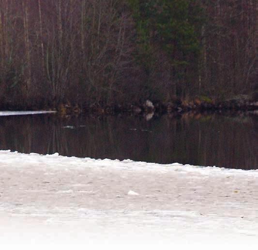 saunavuoro. Naisten saunassa oli aika paljon väkeä. Klo 1.