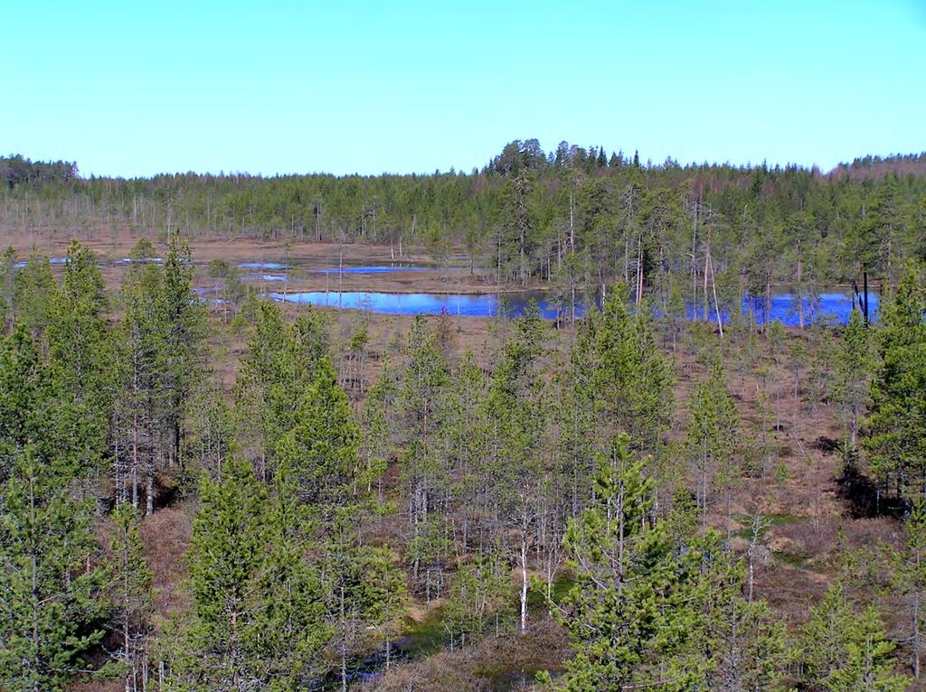 182 / 308 Kuva 61. Pampalonlammet. (kuva: Heikki Pönkkä) Pampalonlammet ja lampia ympäröivä suoalue on linnustollisesti erittäin köyhää. Lampialueella ei tavattu pesiviä lintuja.