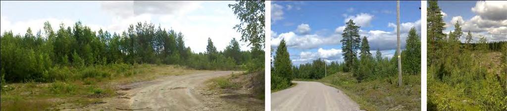 226 / 308 Kuva 91. Kuvat vasemmalta lukien: entinen soranottopaikka, Hoskon alue etelästä Hatuntieltä ja näkymä harjanteelta. (kuvat: Kaija Maunula) Kuva 92.