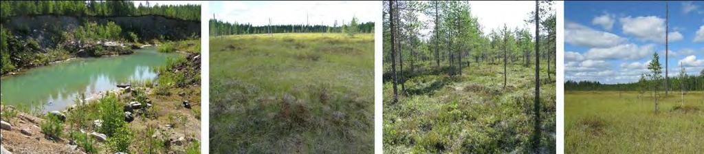 .1.10 Kuiviston hankealue Kuiviston hankealue sijaitsee välittömästi Hatuntien varressa sen lounaispuolella Hattuvaaran kylästä n.13,5 kilometriä pohjoiseen.