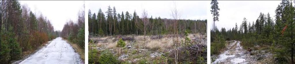 236 / 308 Kuva 105. Kuvat vasemmalta lukien: hankealueen halki menevä metsäautotie ja hankealueen talousmetsiä. (kuvat: Kaija Maunula) 16.1.13 Muurinsuon hankealue Muurinsuon hankealue sijoittuu n.