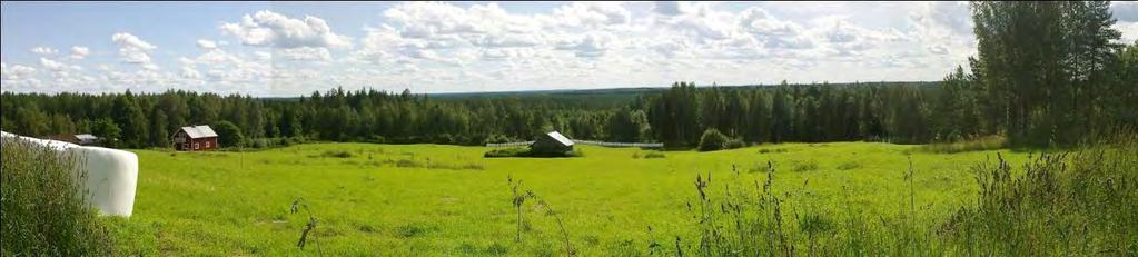 244 / 308 Kuva 115. Näkymä Kuittilanvaaran peltoalueelta hankealueelle. (kuva: Kaija Maunula) Kuva 116.