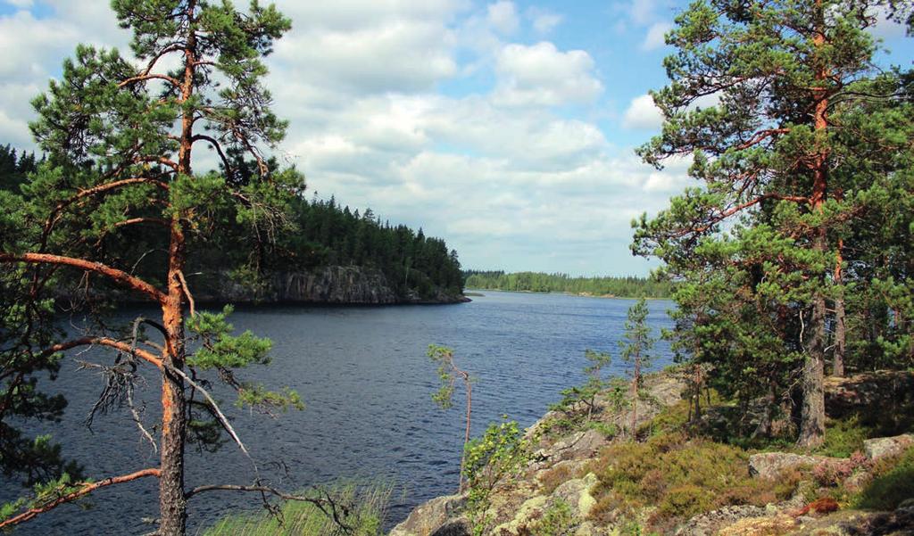 SWOT VAHVUUDET Sijainti Luonto, vesistöt, metsät Elämisen ja yritystoiminnan hinta-laatusuhde Turvallisuus Monipuolinen elinkeinorakenne Terve kuntatalous Yhteisöllisyys ja aktiivinen kolmas sektori,