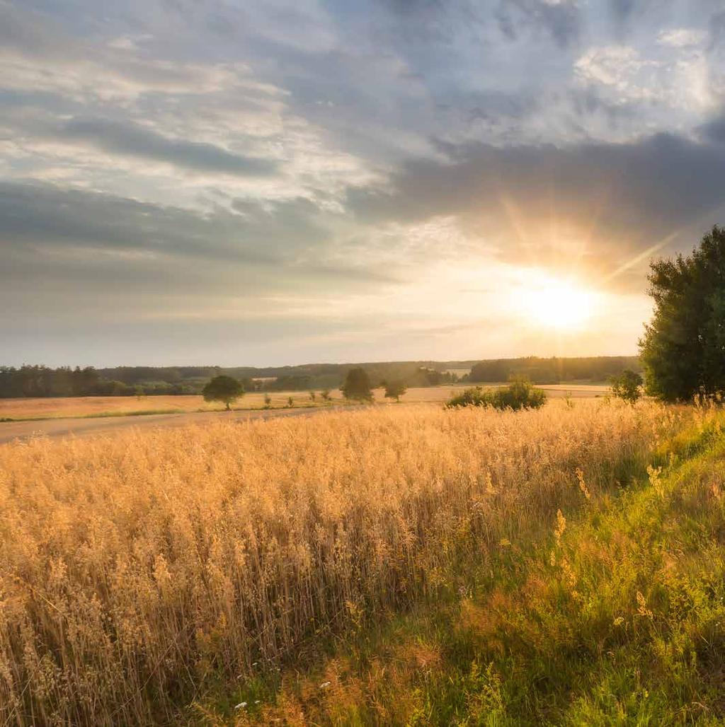 Täyden palvelun viljankäsittelytalo Antti on täyden palvelun viljankäsittelytalo. Sen kuivurit ovat alansa huippua. Niiden sydän voi olla esimerkiksi energiaa säästävä biouuni.