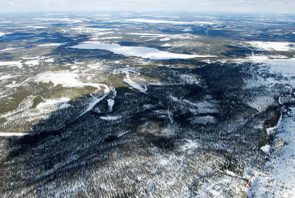 PELKOSENNIEMEN KUNTA KANERVIKKOKADUN ASEMAKAAVA OSALLISTUMIS- JA