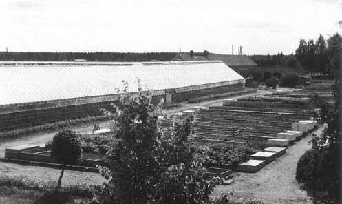 Kasvihuoneet Kuva Tuovinen 1990, s. 128 Suunnittelija Toivo Vakkuri. Aloitus 1934, laajennettu 1941 ja 1950-l. Purettu 2000-luvulla tuhopolton jälkeen.
