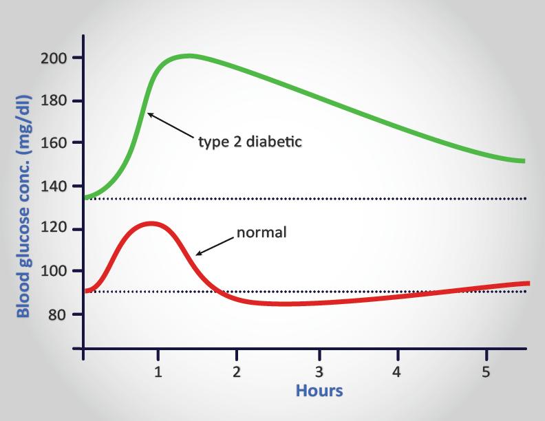2. tyypin diabeteksen riskitekijät Perintötekijät: sairaudelle alistavat geenit ovat niin yleisiä, että niitä on useimmilla suomalaisilla Keskivartalolihavuus on isoin riskitekijä, lisää solujen