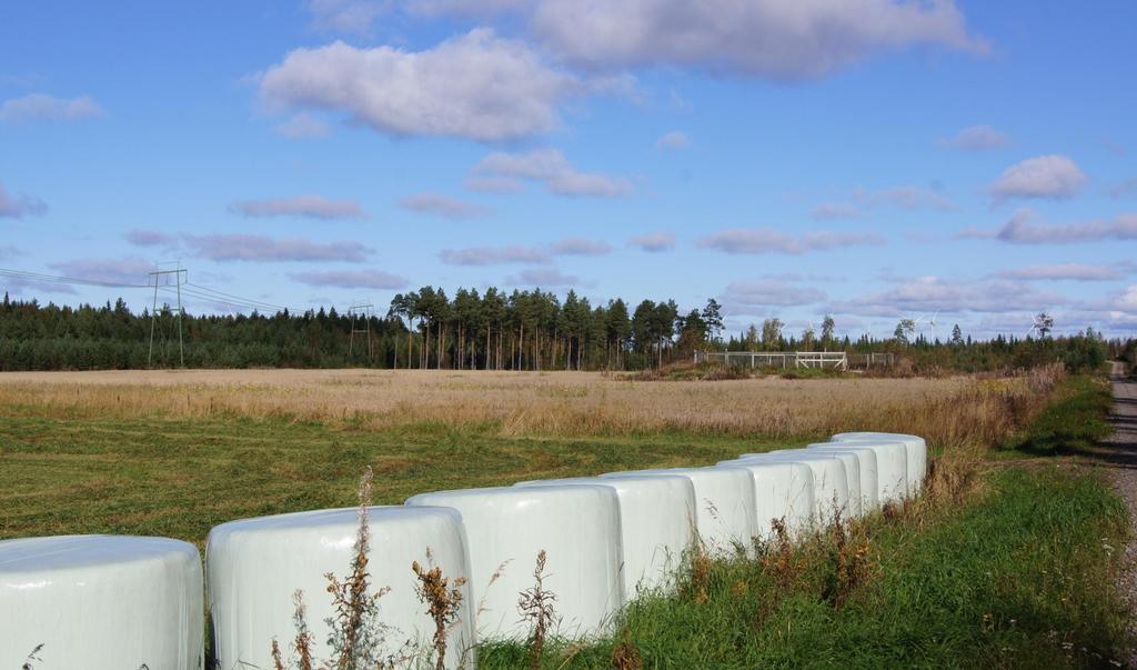 Jokelan tuulipuisto 6 Kuvanottopiste 50.