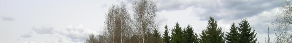 Digitaalinen