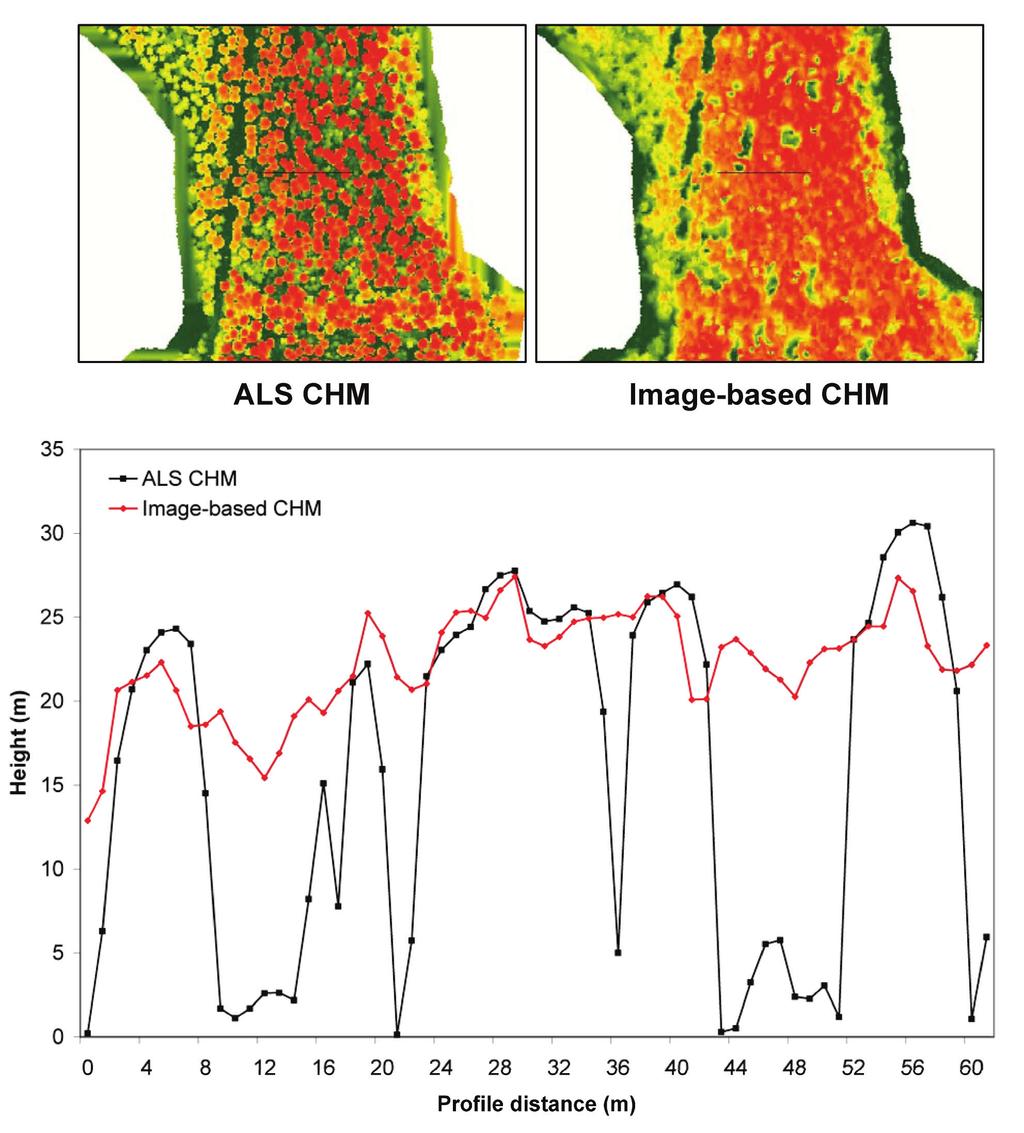 Airborne laser scanning (ALS) vs Digital stereo imagery (DSI)