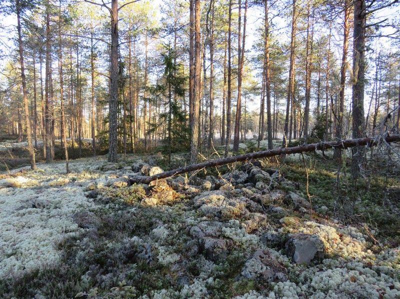 13 Röykkiö 2 pohjoiseen.