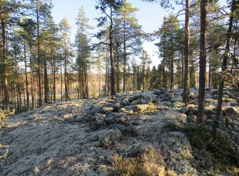 Juntinkalliot, röykkiöt 1-6 ja