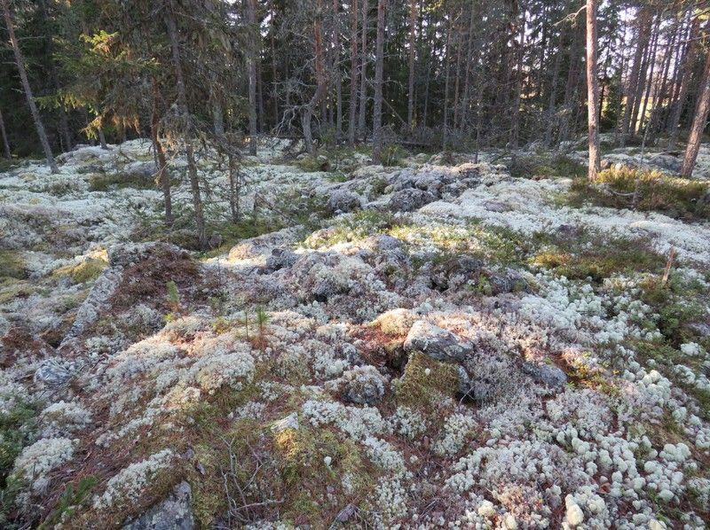 länteen.
