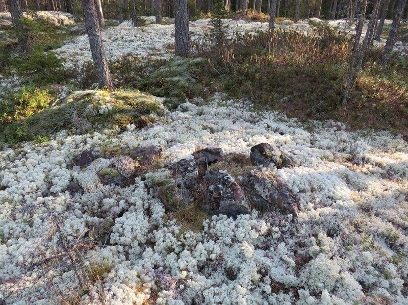 17 Rajamerkin jäännös