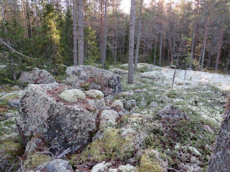 18 4. Savela 3 Rekisteritiedot Paikkatiedot Mj-rekisteri TM35-lehtijako Q4242R Laji muinaisjäännös Vanha yleislehtijako 243205 Tyyppi kivirakenteet Koordinaatit ETRS-TM35FIN P 7142876 Tyypin tarkenne