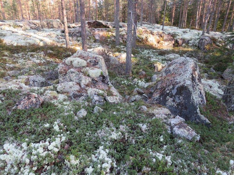 19 Röykkiö koilliseen. Savela 3. 5.