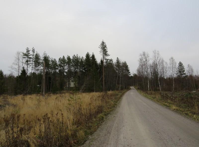 Harakka kantatalon paikka sijaitsee pienellä