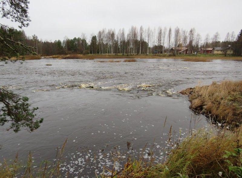 36 Myllyn kanava on kasvillisuuden peitossa, kuva pohjoiseen.
