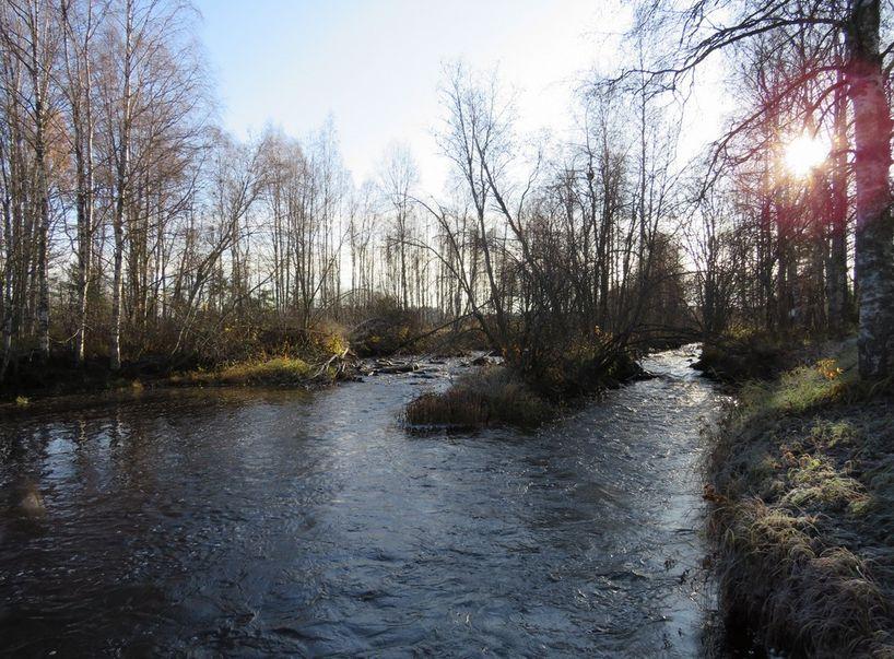 39 sekä sen molemmin puolin useita metrejä leveät myllyn kanavat.