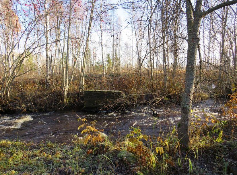 pieni osa. Pirttikoskella toimi mylly ainakin 1860-luvun alussa (Turunen Harri, Teollisuus ja käsityö, Vetten laijoilta.