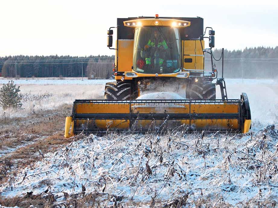 Kasvintuotanto K asvijät t eis sä ja jääntiviljas