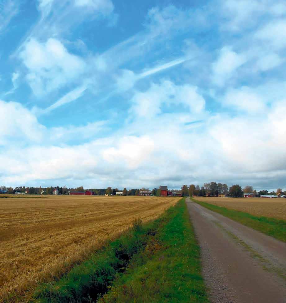 Kiinnostaako Kuminanviljely?