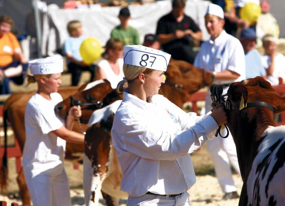 fi tai 040 548 9373 Suomen Holstein Klubi: Päivi Istolahti, paivi.