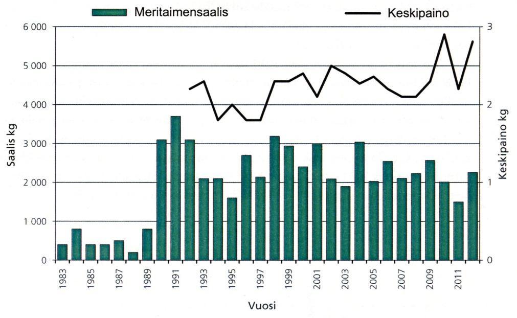 5 Kuva 2. Tornionjoen vesistön suomenpuoleinen meritaimensaalis ja keskipaino vuosina 1982-2012 (kuva: Vähä ym. 2013). 2.3 Muonionjoen purkuputken suualueen habitaattikartoitus Purkuputken alapuolisen alueen taimenen ja lohen lisääntymisalue- ja pienpoikaselinympäristökartoitus tehtiin v.