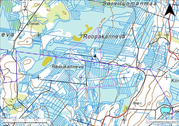 ROOPAKANNEVA Roopakannevan alueen maasto on pääosin ojitettua suota, mutta ojikkojen välissä on pieniä kangasmetsälaikkuja.