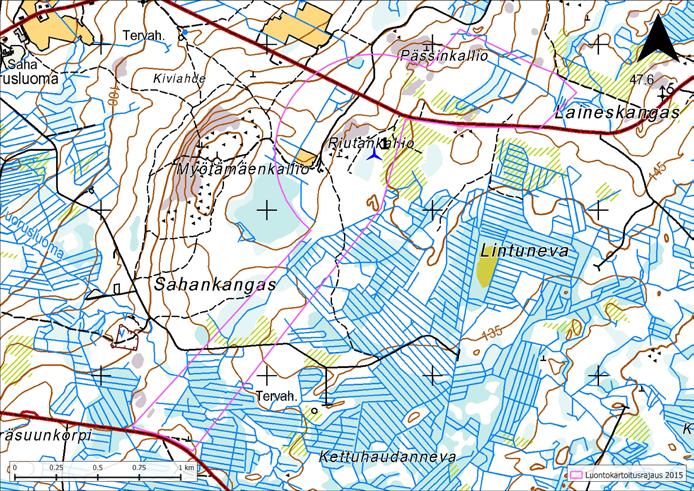 SAHANKANGAS Sahankankaan ja Laineskankaan maasto on tasaista talousmetsäaluetta, jossa vallitsevina ovat ojitetut suot, tasaiset kangasmaat sekä pääosin nuoret, mäntyvaltaiset metsät.