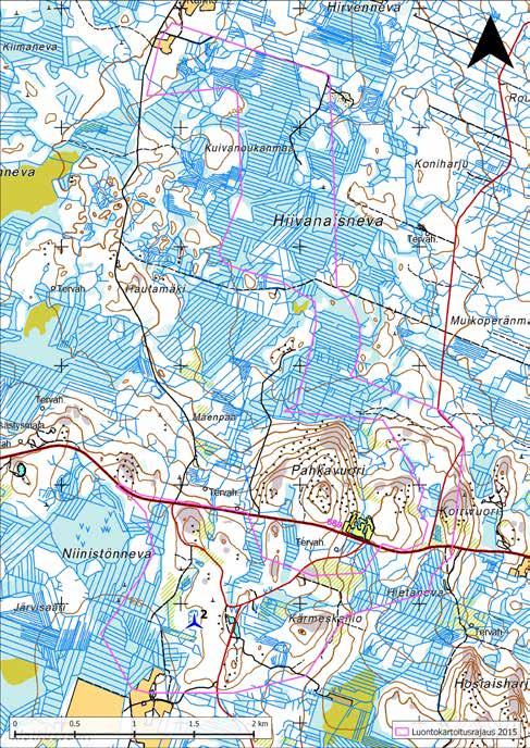 HIIVANAISNEVA Hiivanaisnevan osa-alue on pohjoisosaltaan ojitettujen soiden vallitsemaa, mutta eteläosassa vallitsevina ovat kanervatyypin (CT) kuivat kangasmetsät sekä pienet kallioalueet.