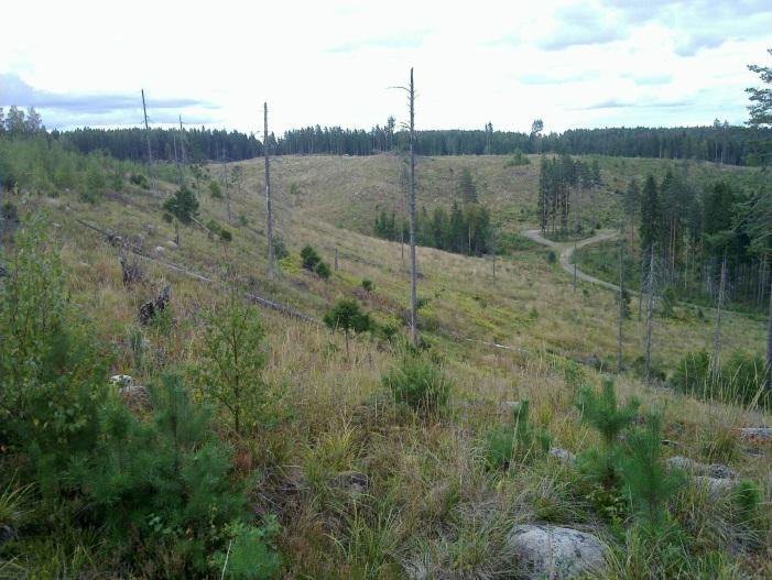 Lakea kiertää matala muinaisrantavalli alueen korkeimman rannan tasossa. Alueen maaperä on siis hiekka ja hiekkamoreeni, paikoin pintamaaperä on kivikkoinen.