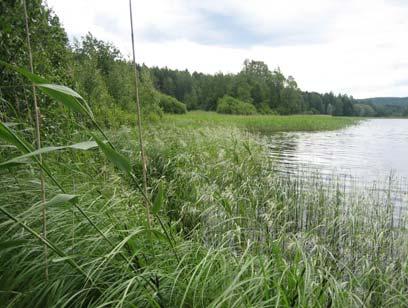 2007 pyrittiin lainsäädännön ja viranomaisvaatimusten mukaisesti huomioimaan seuraavat kohteet (liitteet 1 ja 2): luonnonsuojelulain 1096/1996 4 luvun 29 mukaiset luontotyypit vesilain 1961/264 1