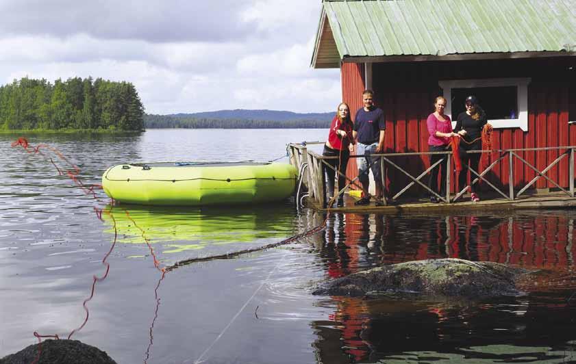 1 HIEKKAÄMPÄRI Painonarviointi-tehtävässä ei näyttänyt olevan etua kokemuksesta, koska siinä menestyivät niin