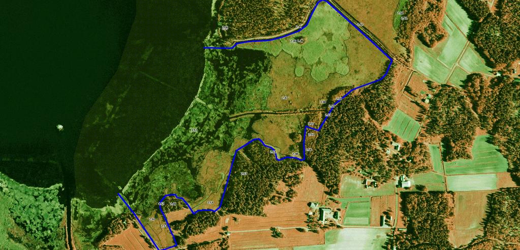 1:6500 LIITE 7. Uhanalaiset luontotyypit Copyright: Metsähallitus 2000 Härkmerifjärdenin laitumen uhanalaiset luontotyypit.