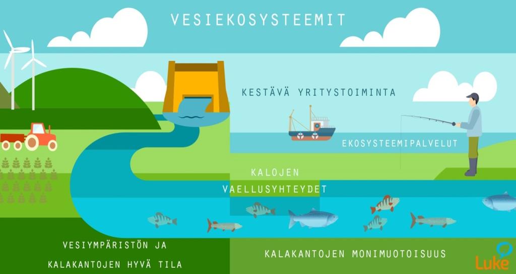 OHJELMAN TAUSTA, TOIMINTAYMPÄRISTÖ JA RAHOITUS Innovaatio-ohjelmien käyttösuunnitelma kesäkuussa 2016 Rahoitusten haku syyskuussa, jossa toimintamallit, kumppanuusverkostot ja rahoitussuunnitelmat