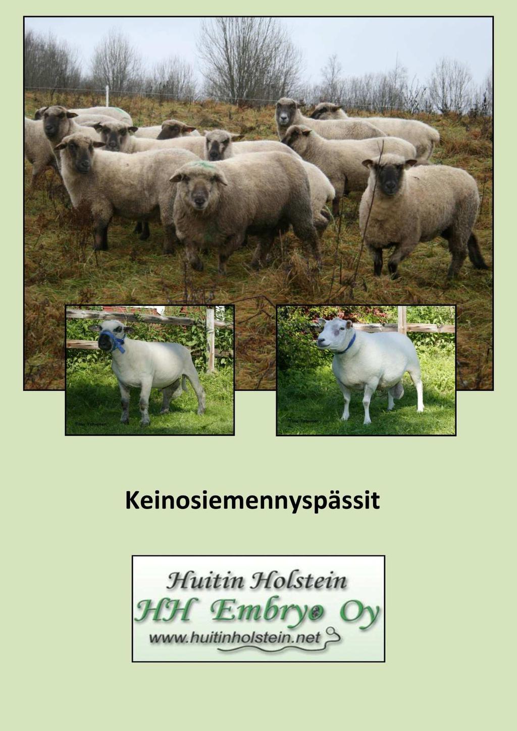 HH LAMMAS -PALVELUN