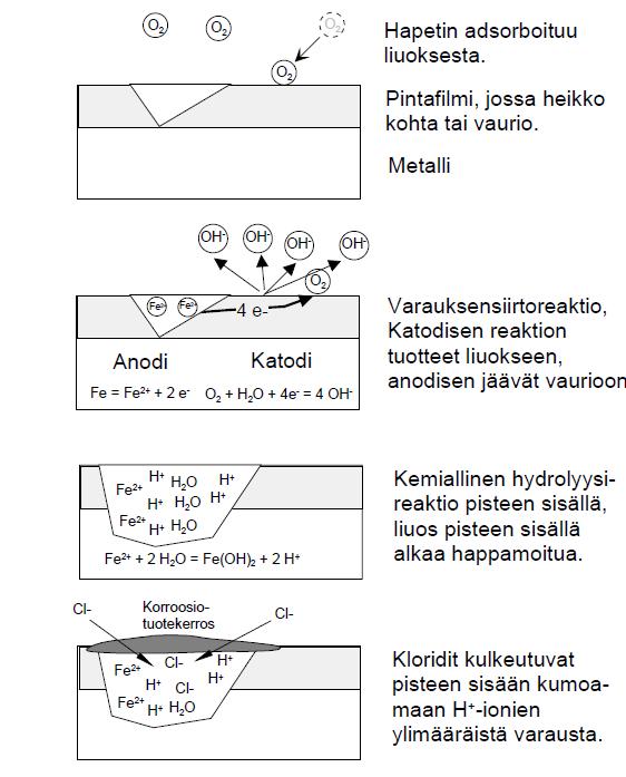 sisälle sähkökemiallisen tasapainon saavuttamiseksi. Pisteen sisälle muodostuu lopulta hyvin väkevä ja hapan metallikloridiliuos. (Aromaa 2012, s.71.