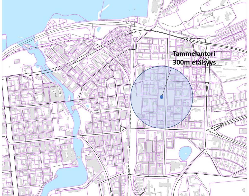 13 Toriparkin vaikutusalue 300 m:n etäisyys linnuntietä Tammelan torin