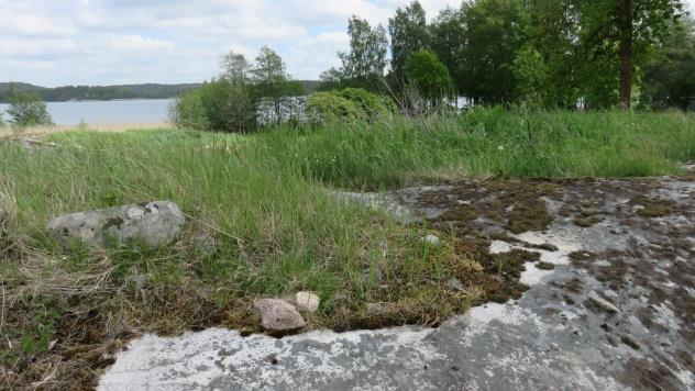 Liitekarttaan merkittyjen kallioketojen lisäksi alueella on lähinnä Laivalaiturintien suuntaisesti kalliopaljastumia, joiden ympärillä on myös kauniita ketolaikkuja. Toimintasuositus.