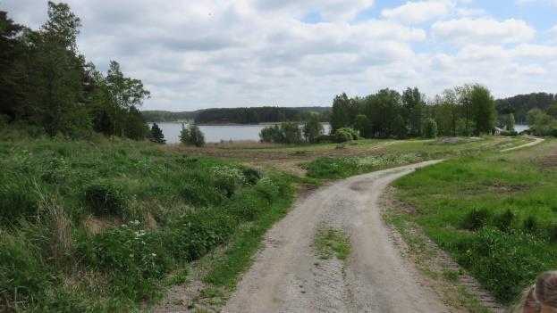 T201711 6 3.6 Selvitysalueen topografia, kallio- ja maaperä Selvitysalueella on huomattavat korkeusvaihtelut, sillä alueella on pitkällä matkalla 5-7 metrinen jyrkänne.