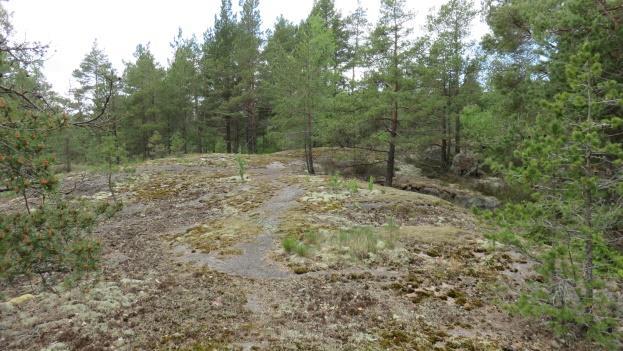 Maastonvaihtelut ovat parhaiten havaittavissa liitekartalla. Selvitysalueelle ei sijoitu merkittäviä irtolohkareita. Kuvat 6 ja 7. Tie laskeutuu tasaisesti 10 metriä ennen meren rantaa.
