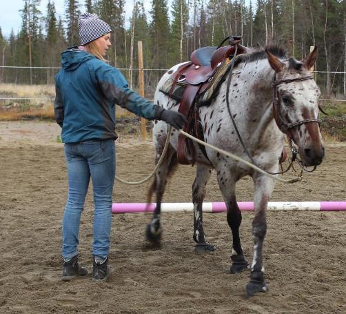 Erilaisia töitä Kun me ollaan tehty niitä maastakäsin harjoituksia, niin se ihminenkin on jo