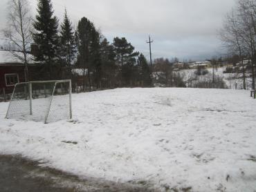 Valokuvia