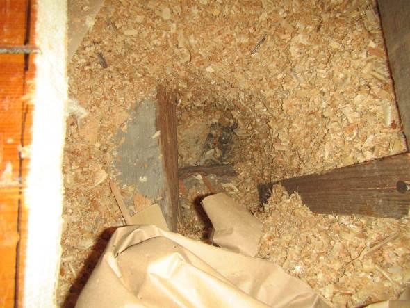 Avauskohdalla asbestia sisältäviä putkieristeitä. Kuva 20. RA1.