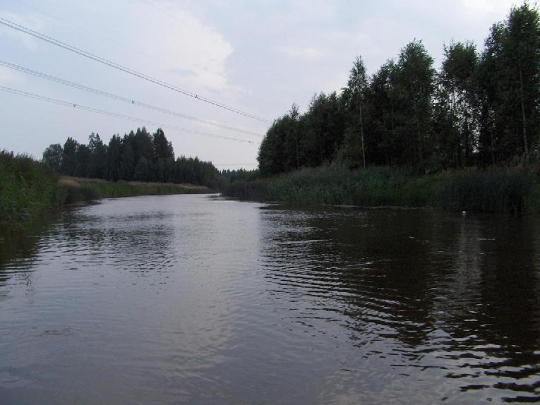 Kuva 5. Santakosken koeravustusalueen yläpää virtaussuuntaan katsoen.